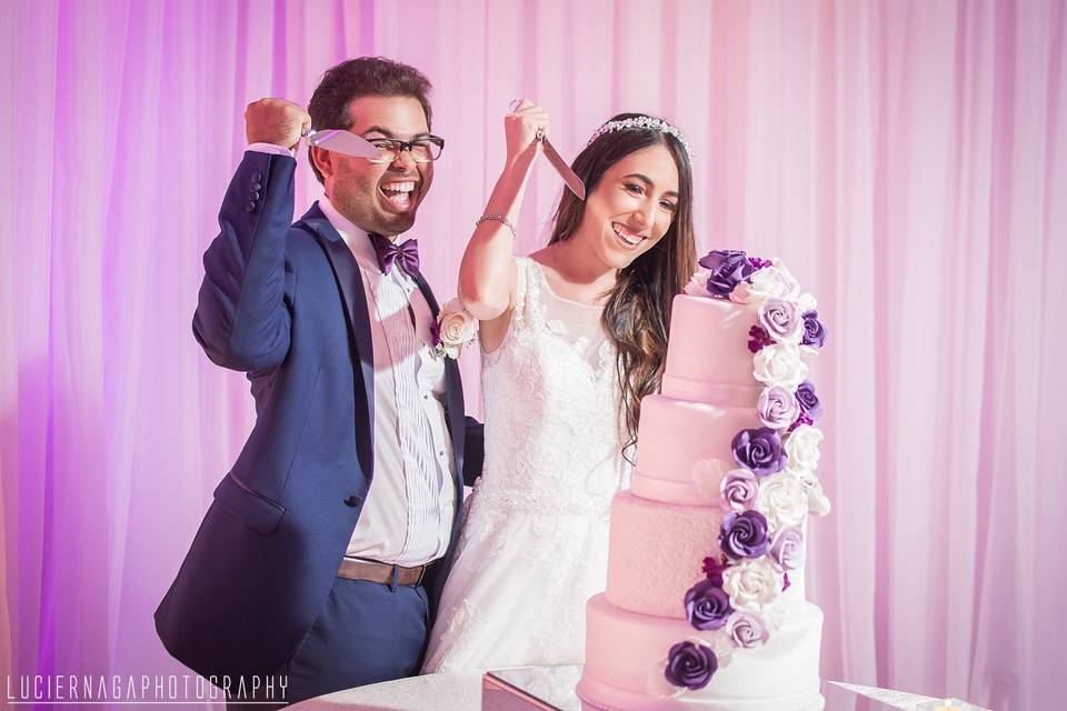 Cake Cutting Fun