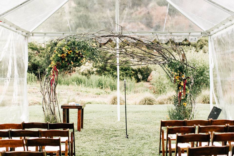 Wild Ceremony Arch