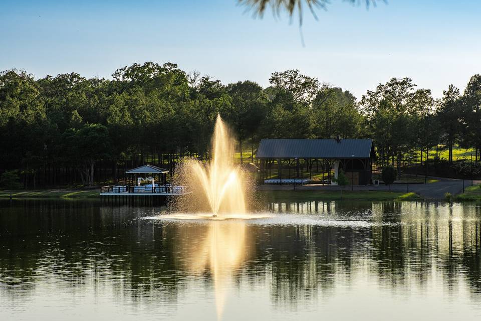 Water show