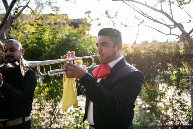 Elegant trumpet solo