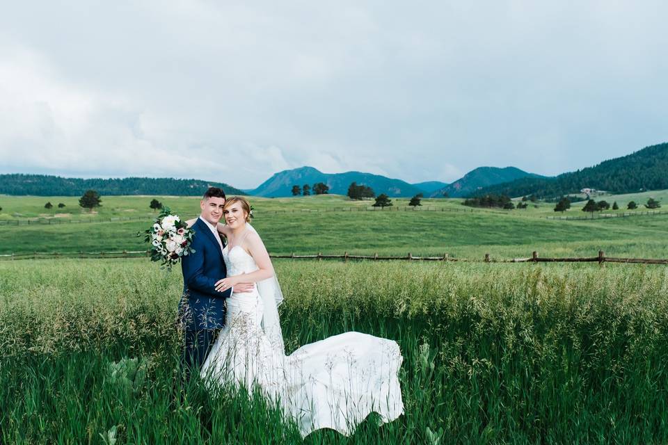 Spruce Mountain Landscapes