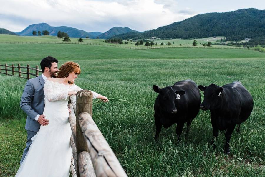 Spruce Mountain Couple