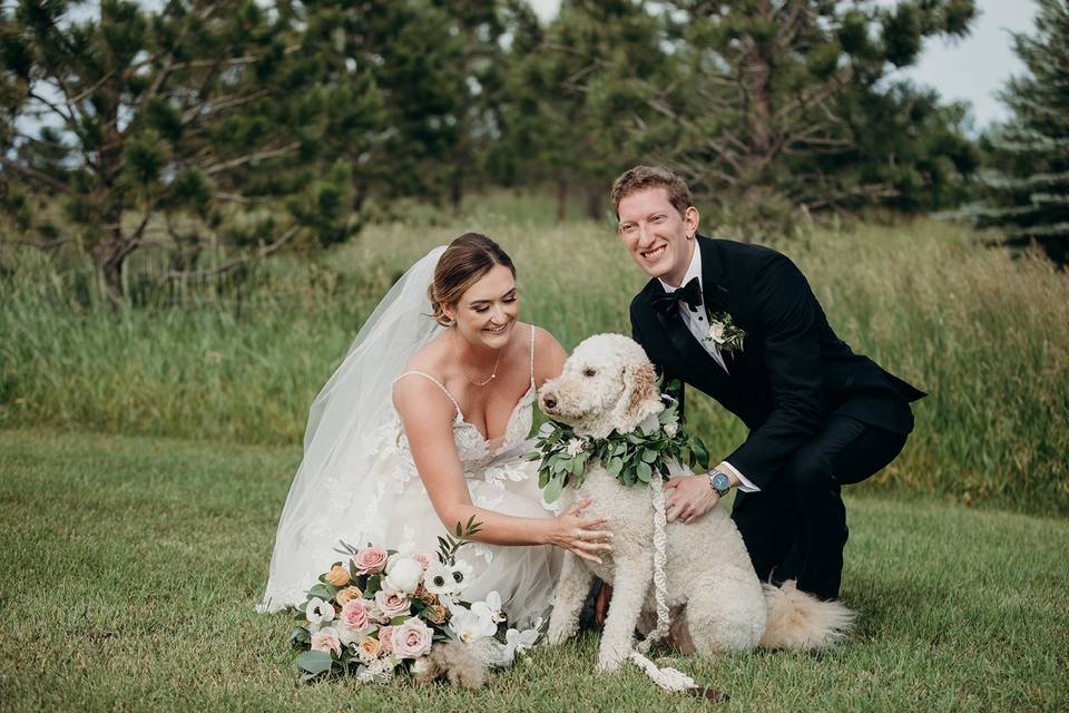 Spruce Mountain Wedding Pups