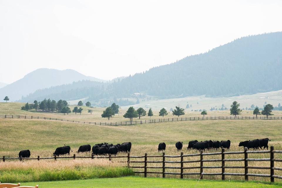 Spruce Mountain Ranch