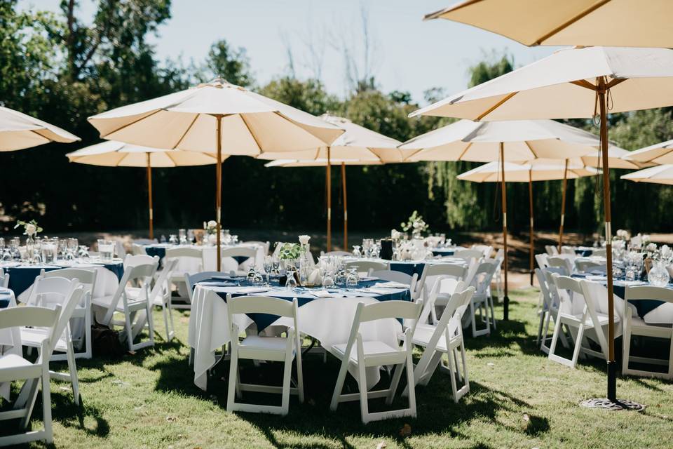 Beautiful backyard wedding