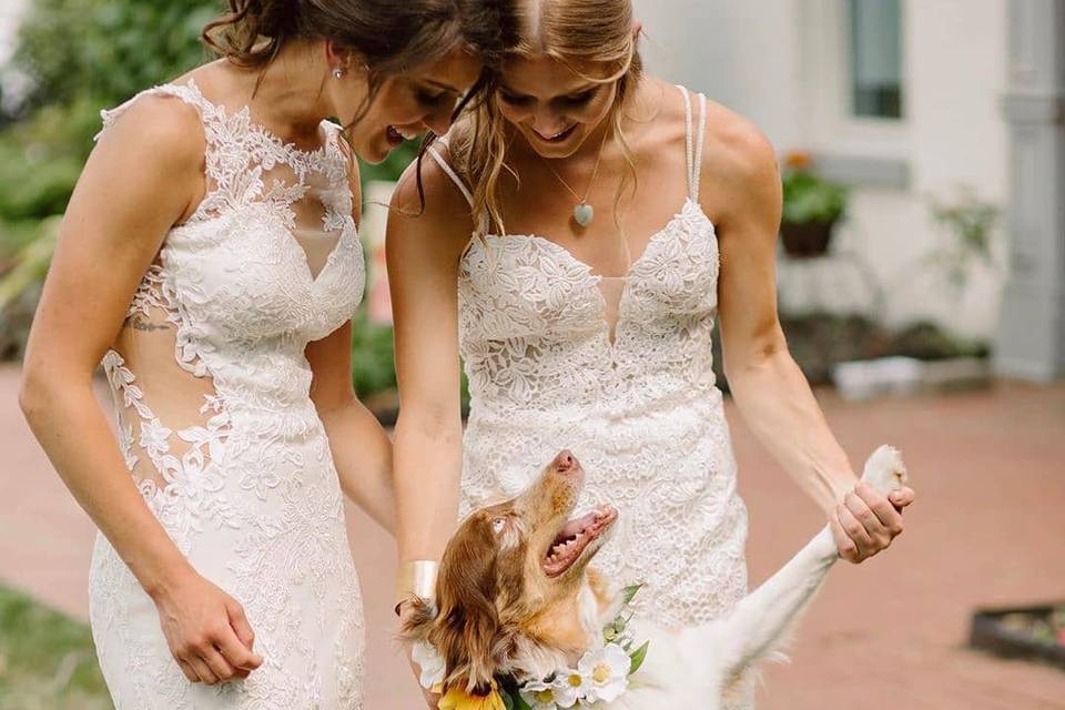 Brides & their dog