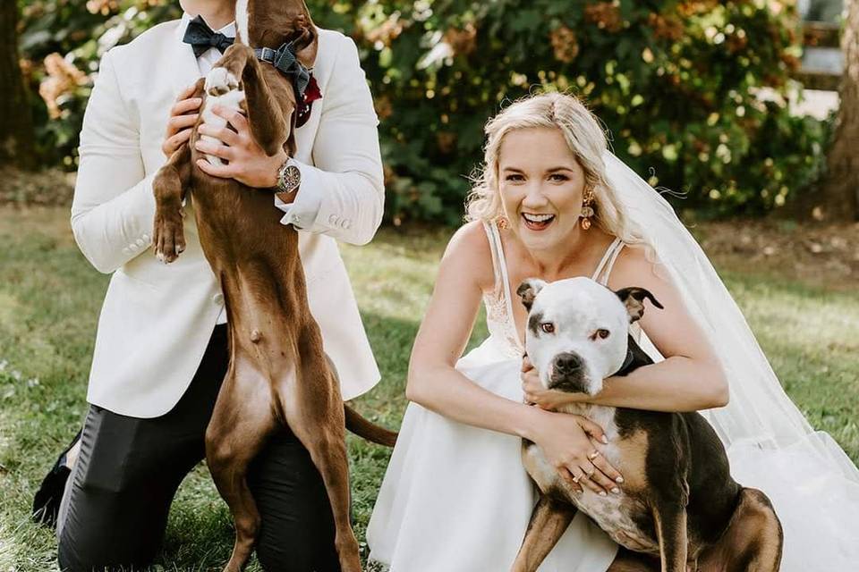 Bride, groom and their pups