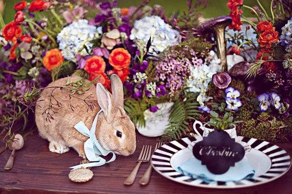 Kate Whelan Events