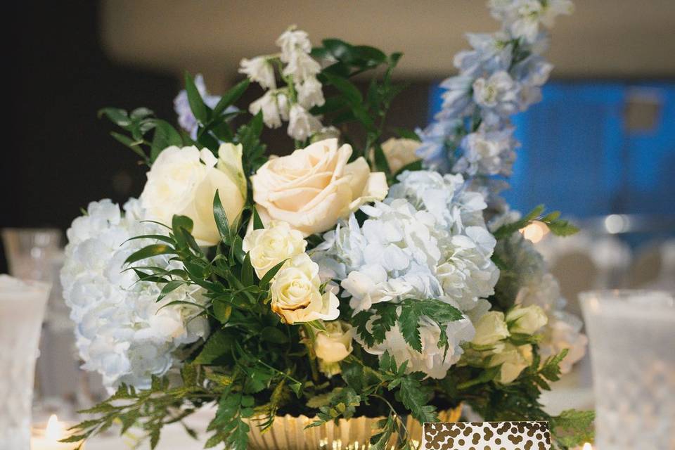 White, Blue and Gold