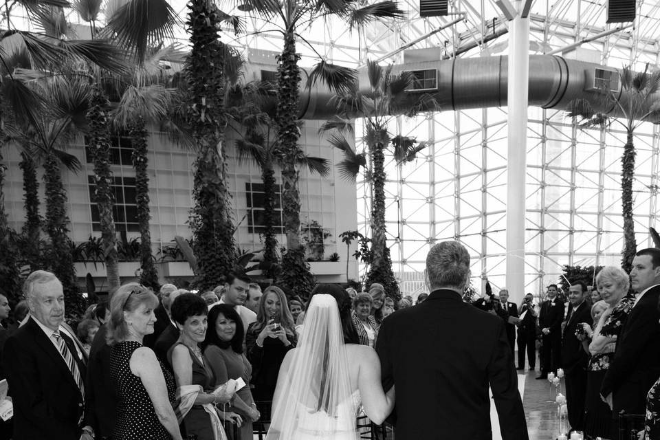 Susan Patnode Photography