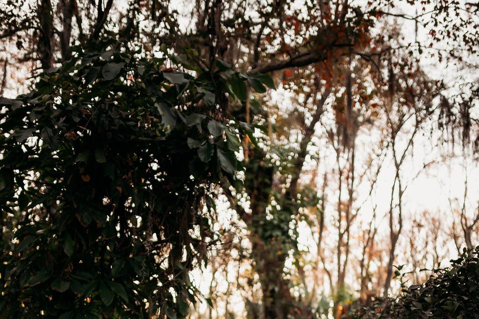 Melody & Frankie 01.22.21