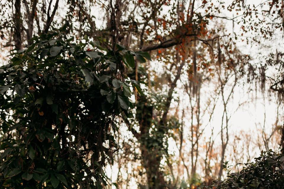 Melody & Frankie 01.22.21