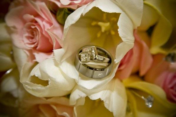 Thompson Photography