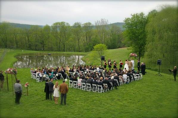 Cheryl Nichols Photography