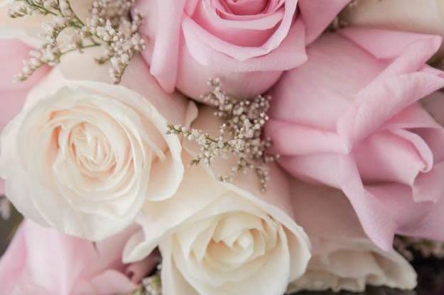 Wedding rings