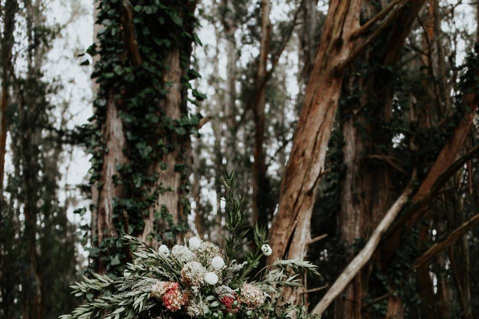 Forest Clearing Ceremony Site