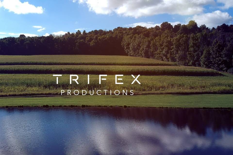 Trifex Productions