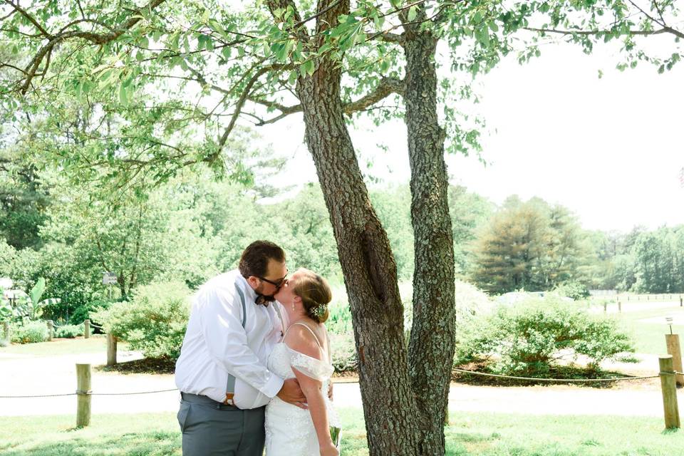 Beneath the tress