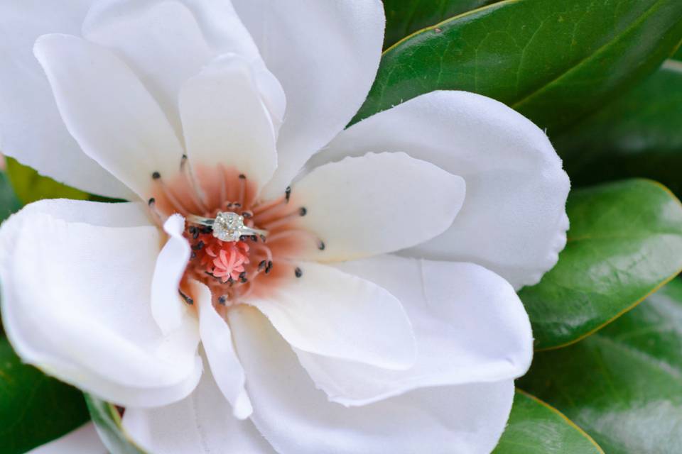 Magnolia wedding