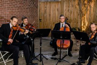 Landolfi String Quartet and Ensemble