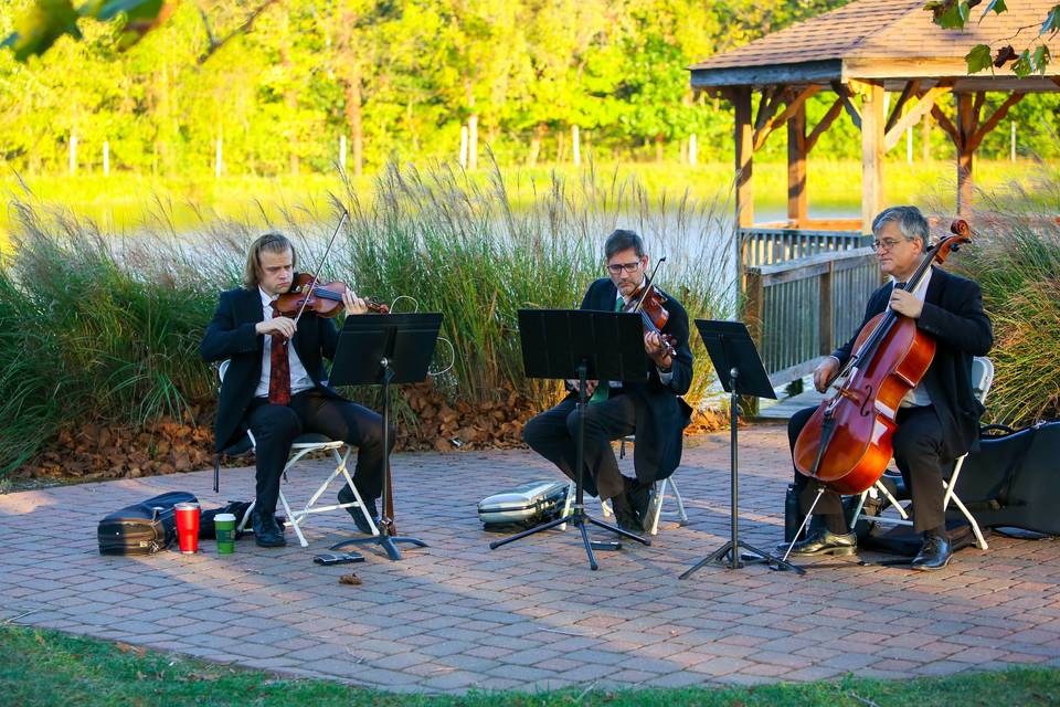 Trio at Winery