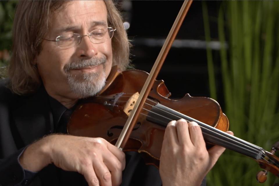 Carl Violin