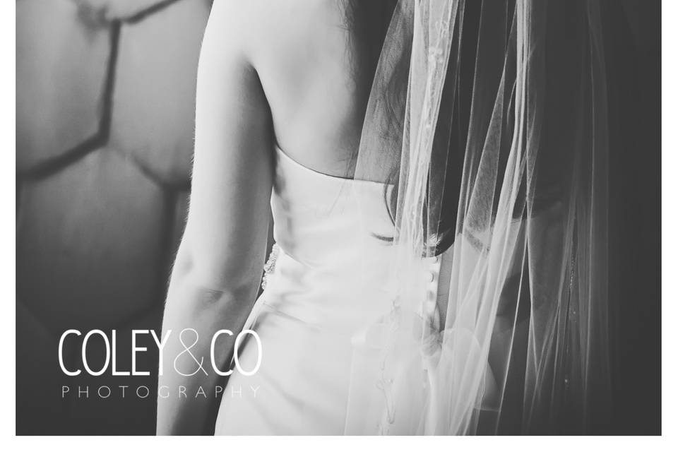 Coley & Co Photography