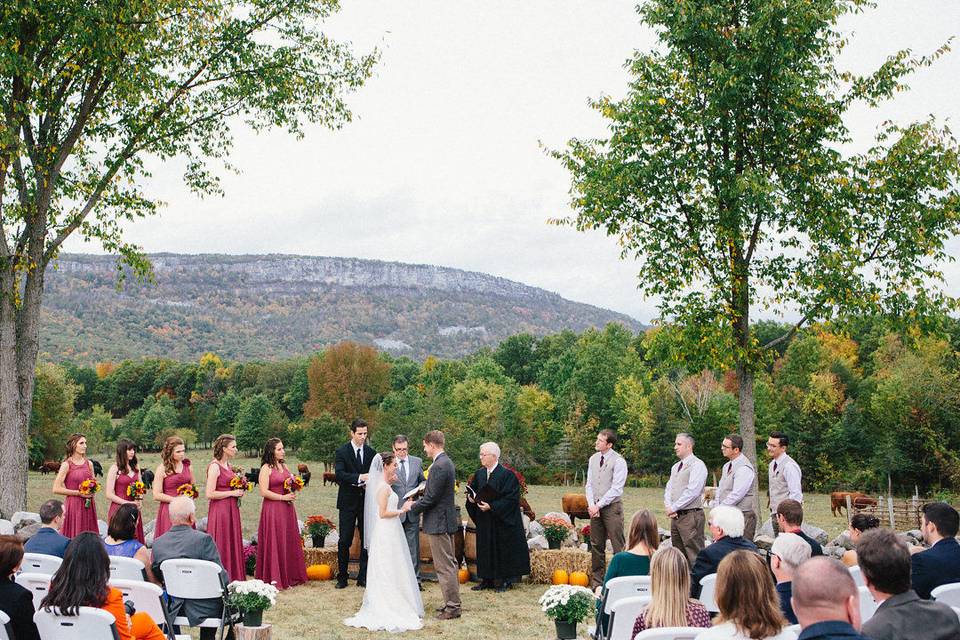 Wedding ceremony