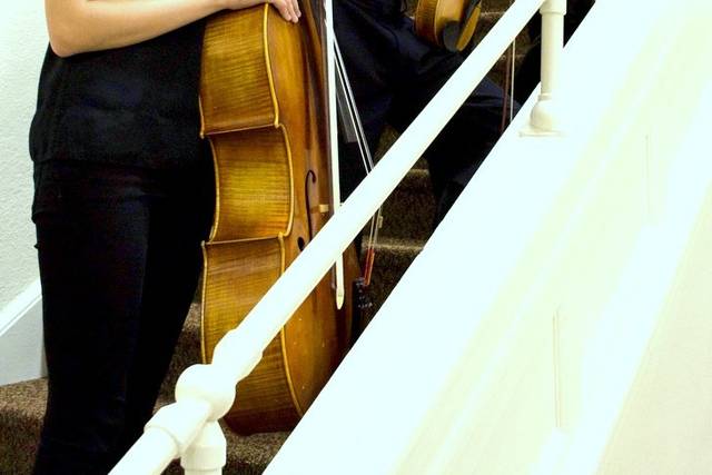 Nelson String Quartet
