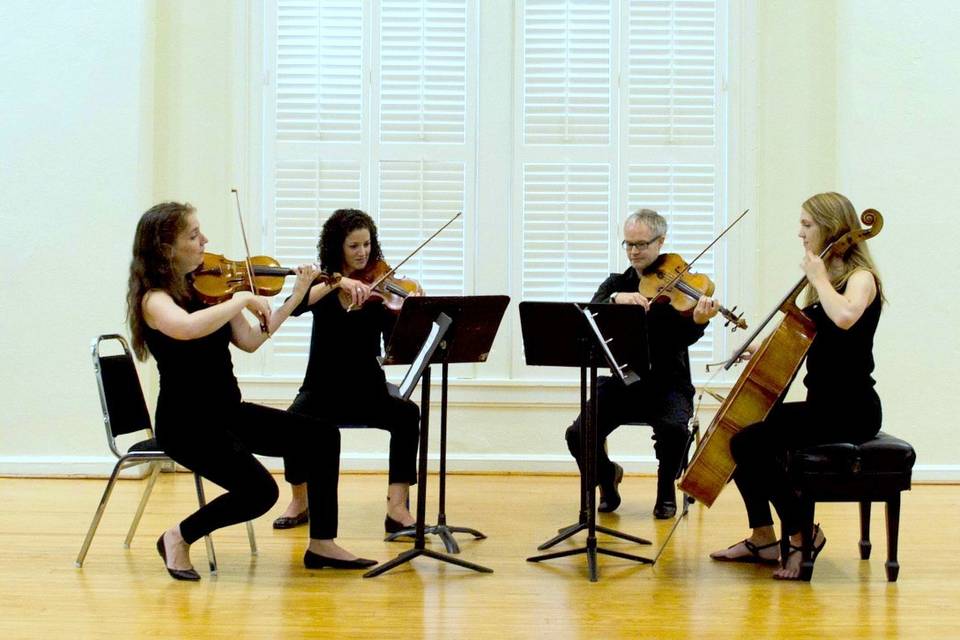 Nelson String Quartet