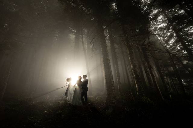 Fog + trees + couple