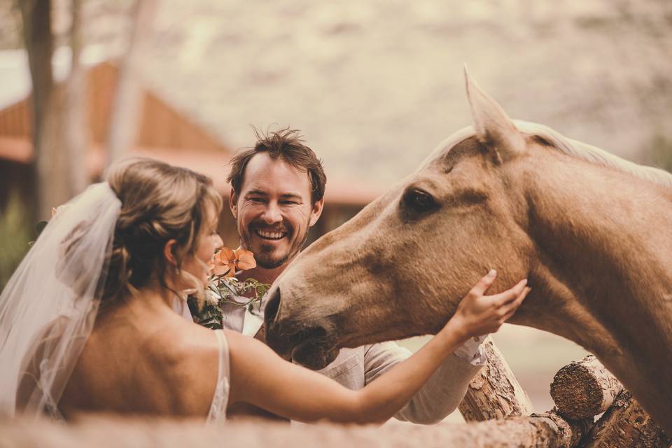 Ardent Photography