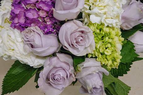 Lush lavender rose