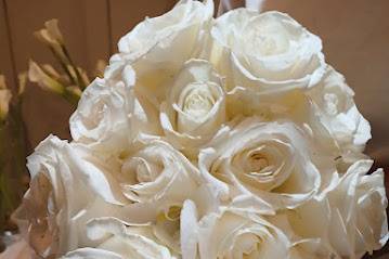 Rose of Sharon Gift Collection