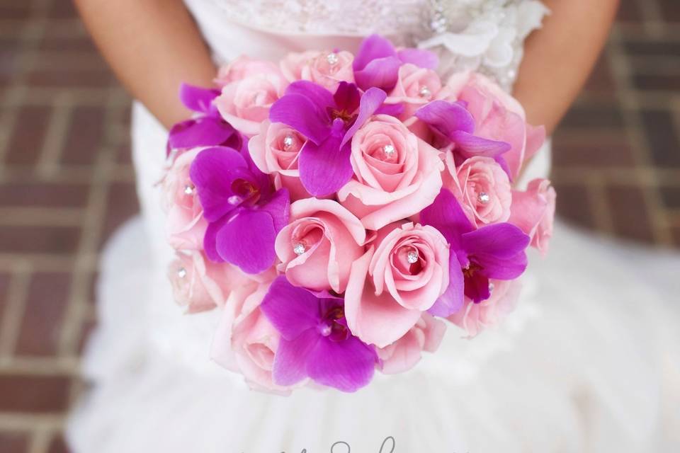 Sass & Frass Photography