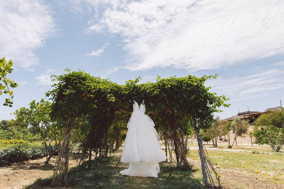 Vineyard Dress