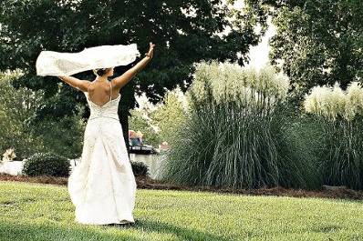 Marcia Todd Photography