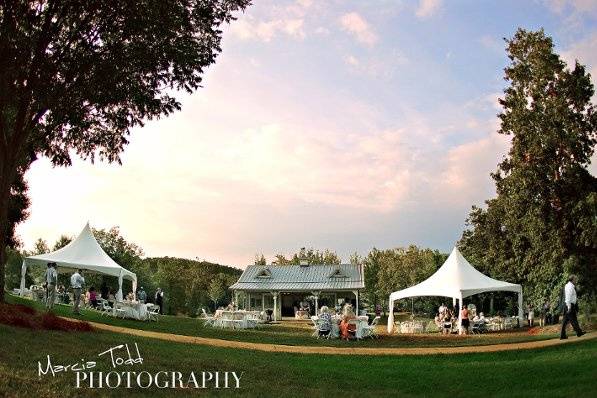 Marcia Todd Photography