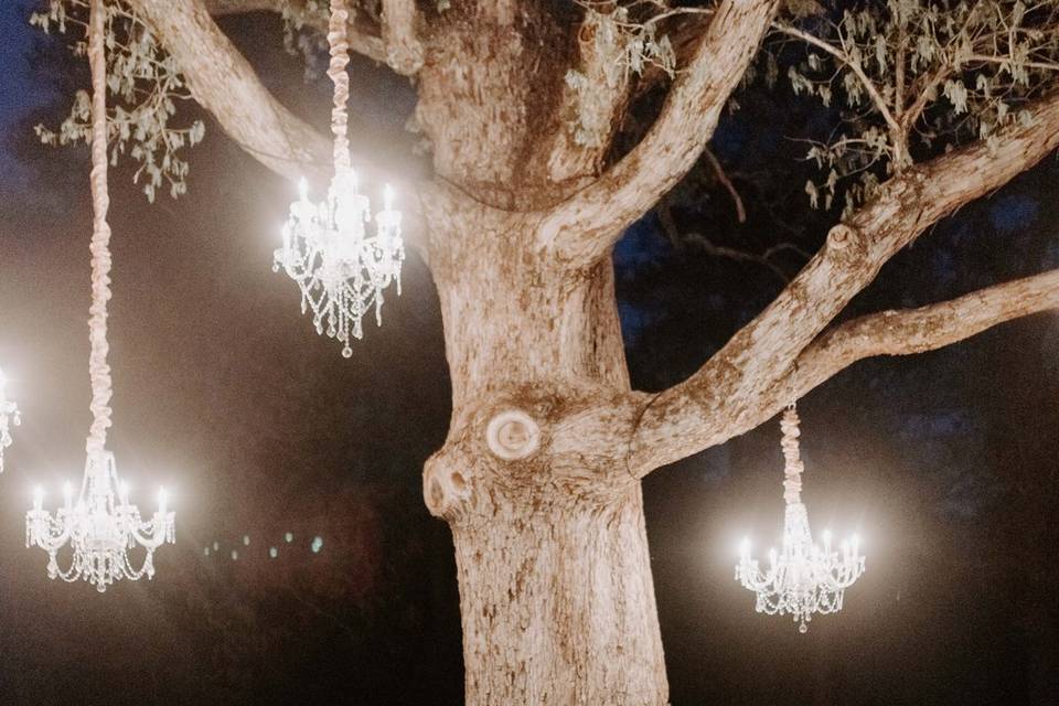 Chandeliers in Oak Tree