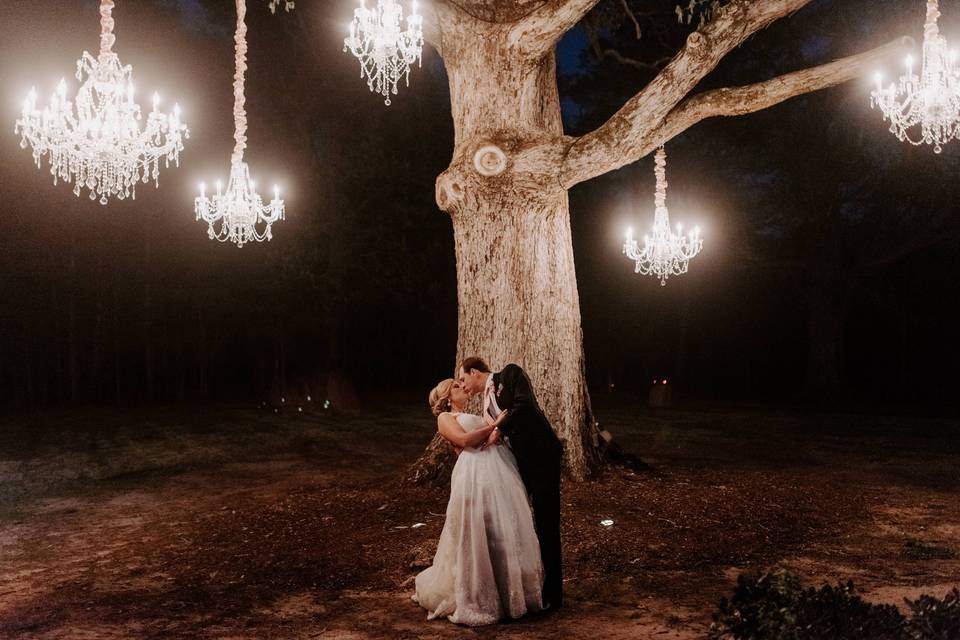 Chandeliers in Oak Tree