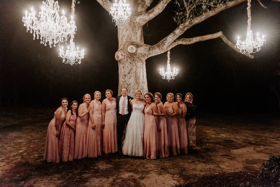 Chandeliers in  Oak Tree