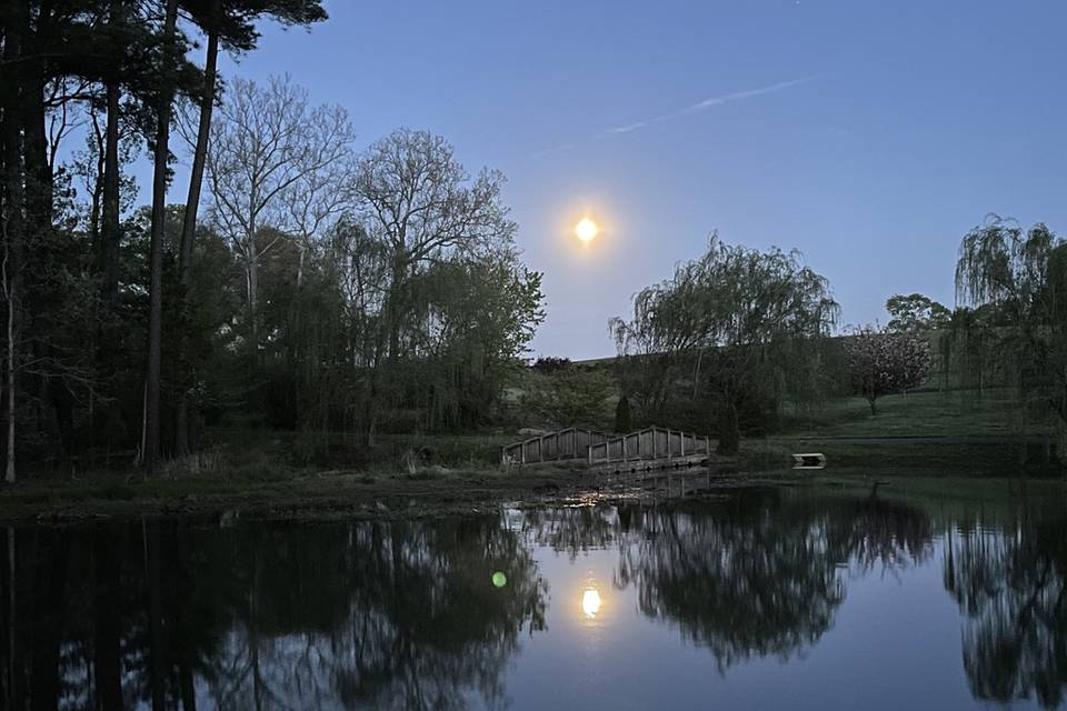 Romantic evening at the pond