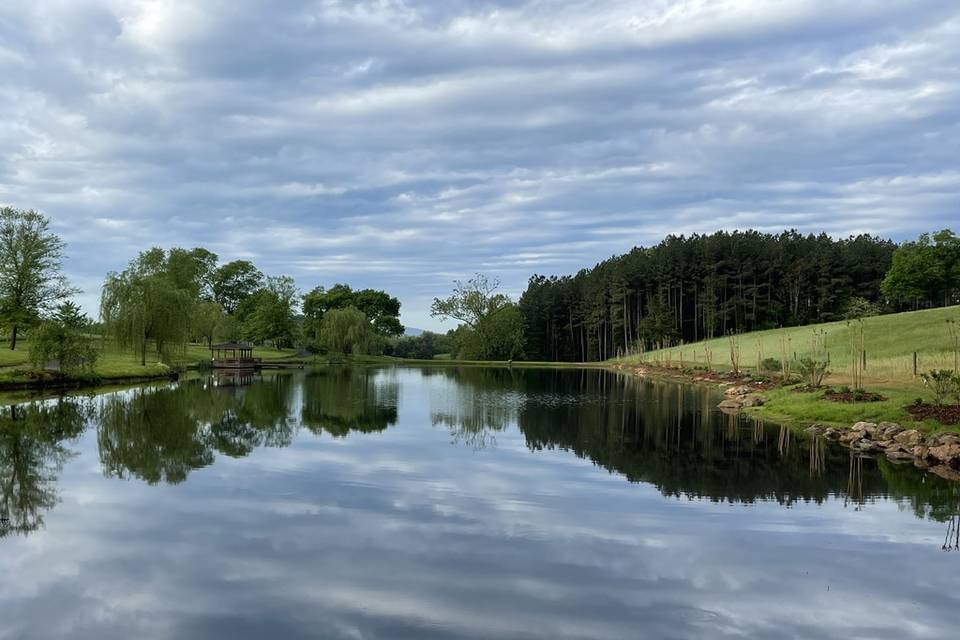 Pond view