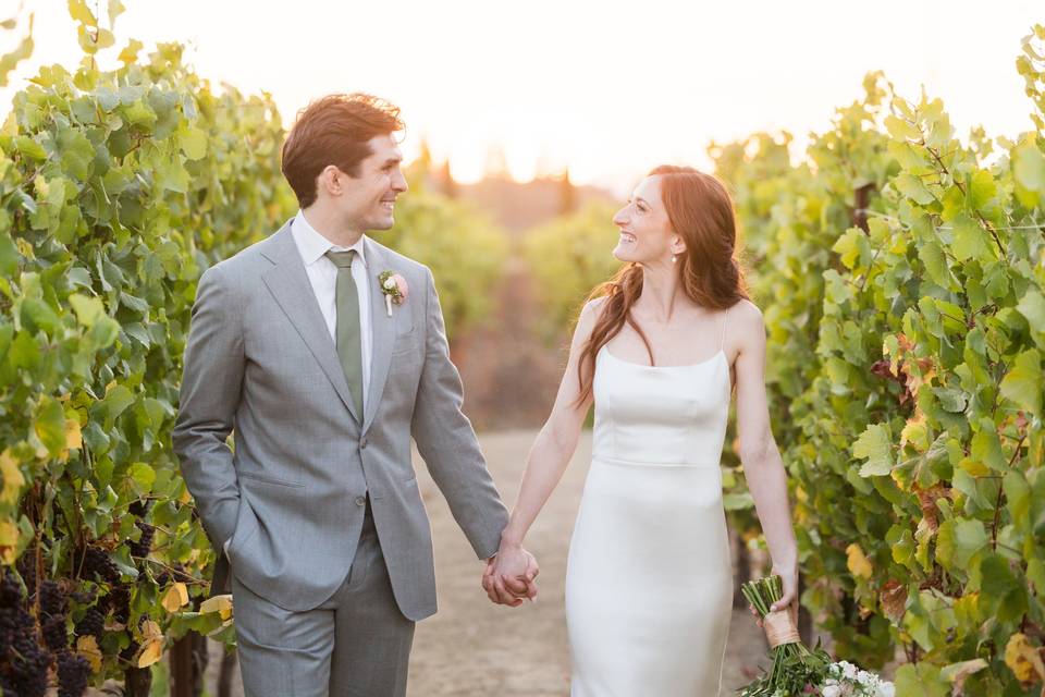 Golden hour vineyard
