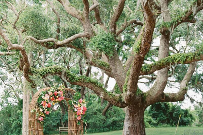 The wedding tree