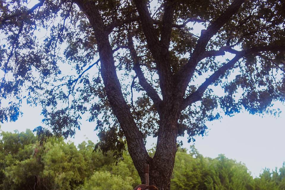 Eleven29 Photography