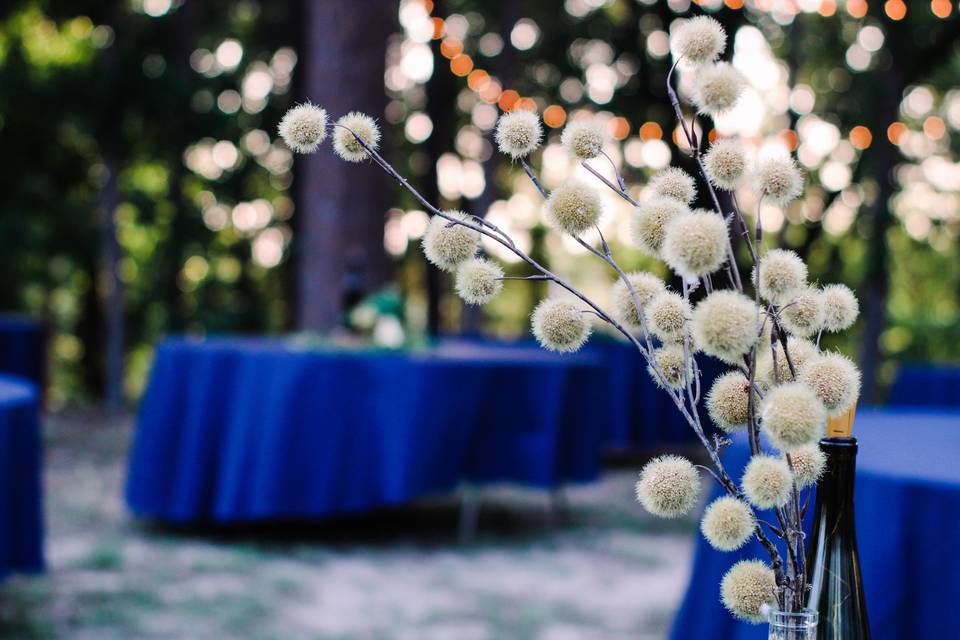 Hawkins, tx wedding