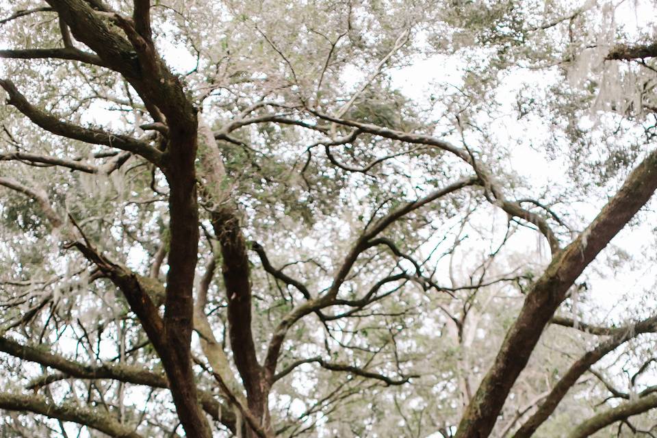 © Brandi Watford Photography