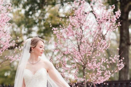 Gorgeous bride