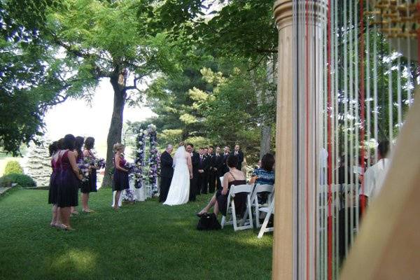 Harp at garden wedding